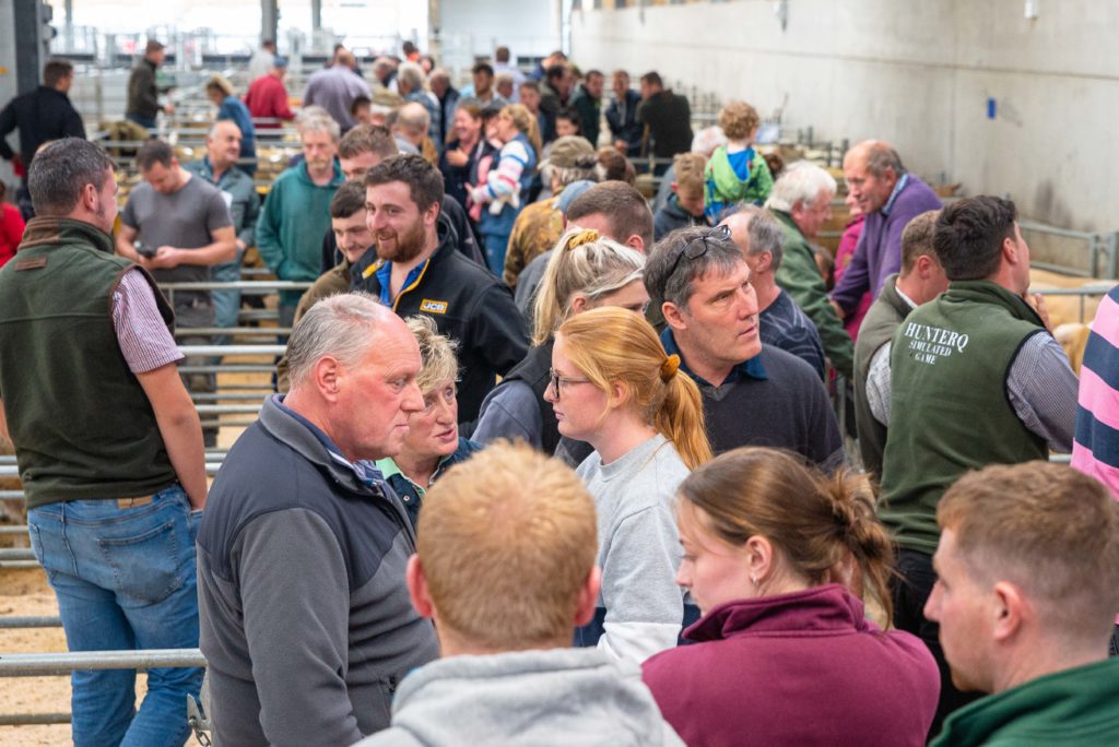 Tup Tup Chalice Show and Sale | Darlington Farmers Auction Mart