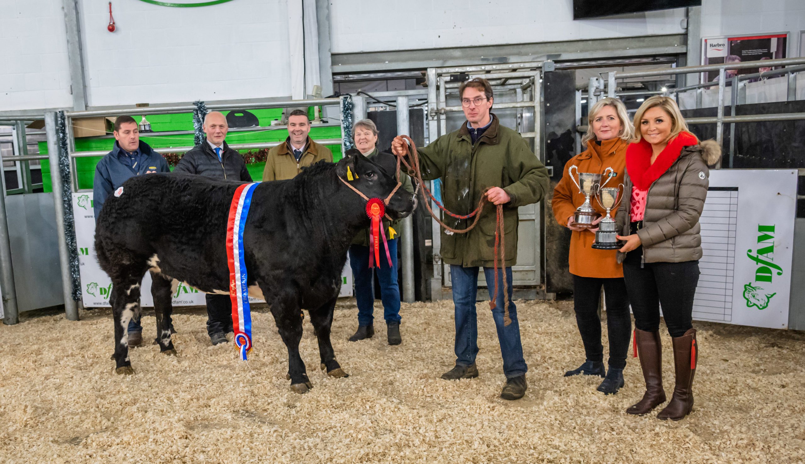 Christmas Prime Cattle Show & Sale Darlington Farmers Auction Mart