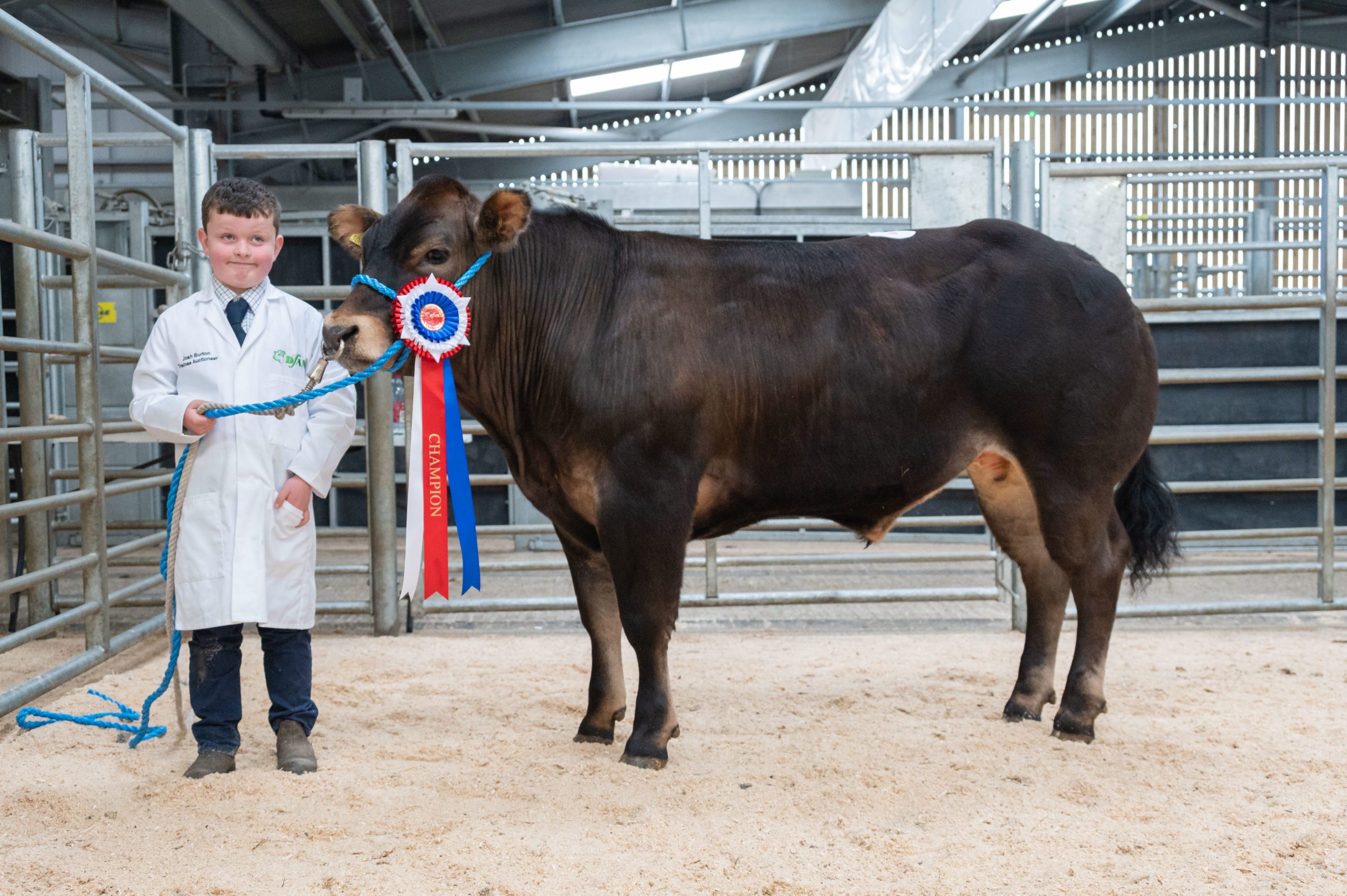 Junior Farmers Club Show Sale of Overwintered Cattle