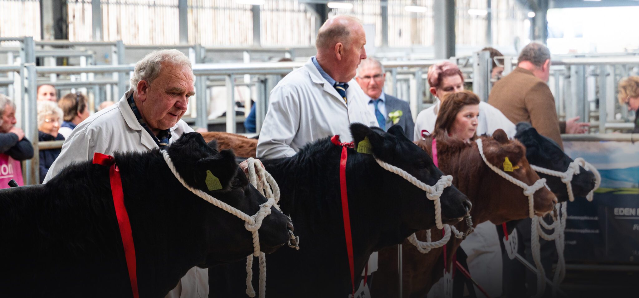 Quality Auction Space